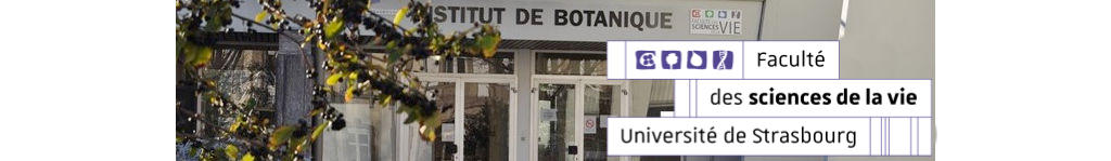 L3 S5 INSCRIPTION PEDAGOGIQUE 2025-2026